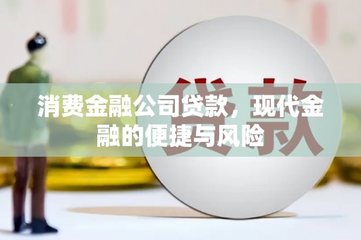 召陵消费金融公司贷款，现代金融的便捷与风险