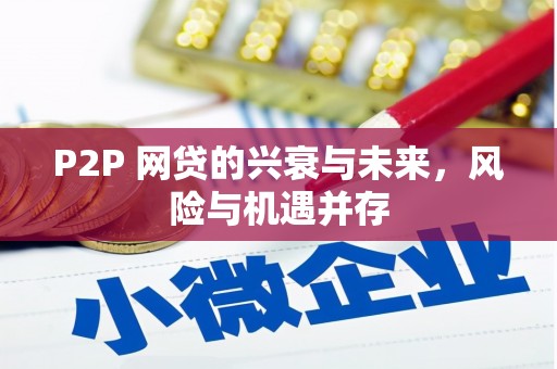 召陵P2P 网贷的兴衰与未来，风险与机遇并存