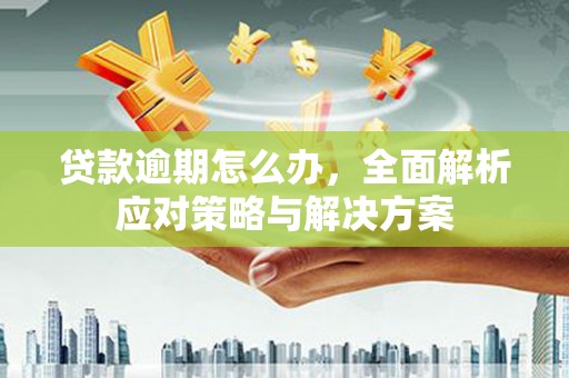 召陵贷款逾期怎么办，全面解析应对策略与解决方案