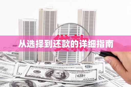 召陵从选择到还款的详细指南