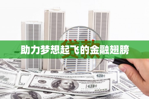 召陵助力梦想起飞的金融翅膀