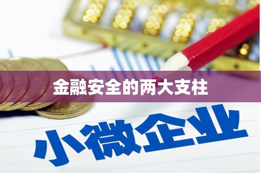 召陵金融安全的两大支柱