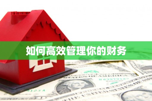 召陵如何高效管理你的财务
