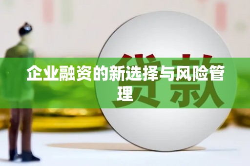 召陵企业融资的新选择与风险管理