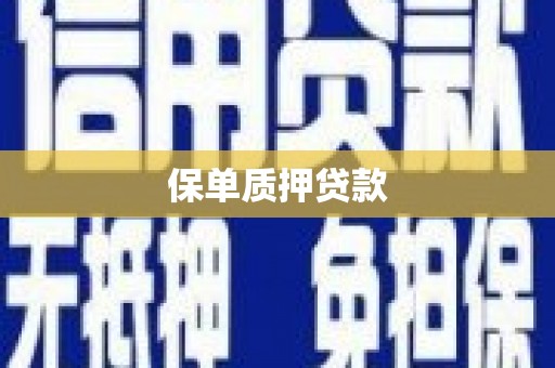 召陵保单质押贷款
