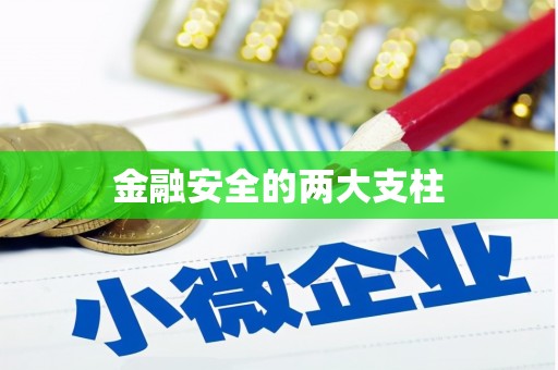 召陵金融安全的两大支柱