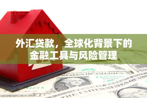 召陵外汇贷款，全球化背景下的金融工具与风险管理