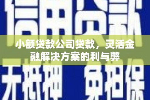 召陵小额贷款公司贷款，灵活金融解决方案的利与弊
